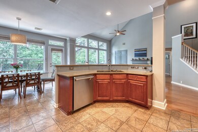 13054 Wild Heart, Helotes, TX 78023 - photo 7