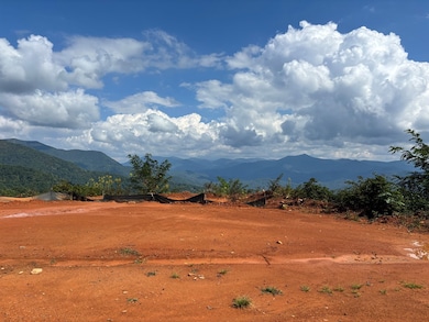 1887 Monteith Branch Rd, Sylva, NC 28779 - photo 5