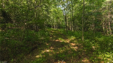 000 Old Vashti Rd unit 2, Taylorsville, NC 28681 - photo 7