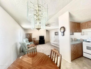 18NEWCARPETKITCHENLIVING