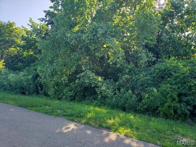 3512 Buttermilk Dr, Valle Township, MO 63028 - photo 6