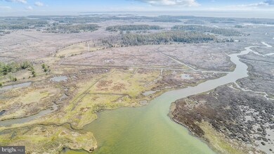 1806 Crocheron Rd, Toddville, MD 21672 - photo 2