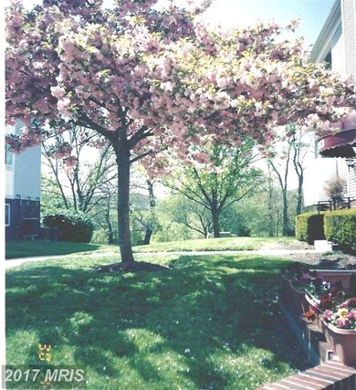 2153 Wainwright Ct unit BD, Frederick, MD 21702 - photo 4