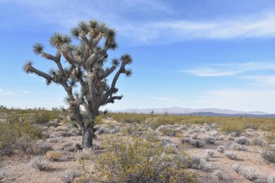 Lone Ranger Rd - 2