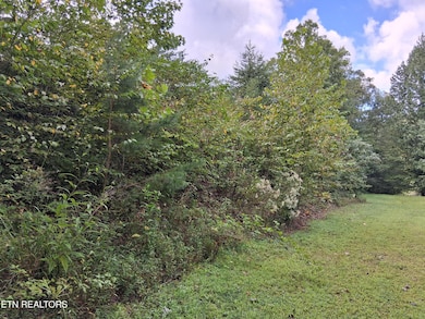 0 Fugate Rd unit 1314677, Del Rio, TN 37727 - photo 6