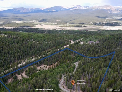 0 Beaver Creek Rd unit REC9026847, Alma, CO 80420 - photo 2