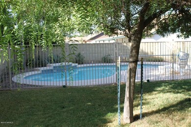Pool & beautiful back yard