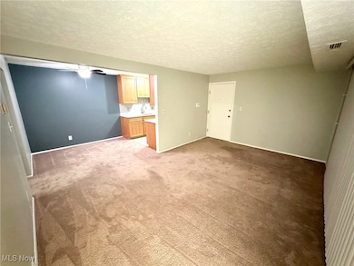 16445 Heather Ln, Middleburg Heights, OH 44130 - photo 3