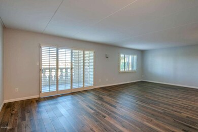 Dining - Living Room - Unfurnished