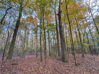 0 County Road 95 unit 177919, Lafayette, AL 36862 - photo 4