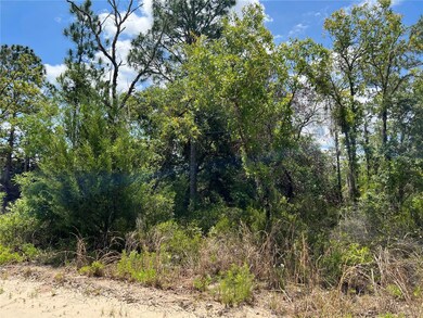 0 NE 66th Ln unit MFRO6262642, Williston, FL 32696 - photo 3