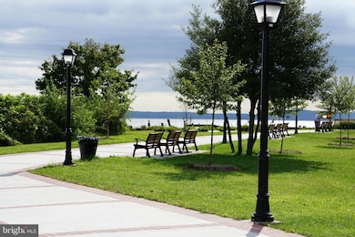 311 Red Head Way unit C, Havre de Grace, MD 21078 - photo 6