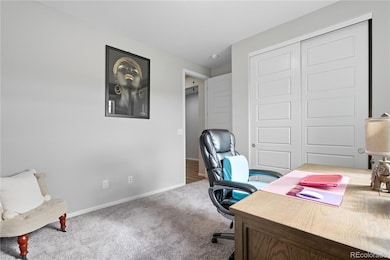 5740 Berry Ridge Way, Castle Rock, CO 80104 - photo 6