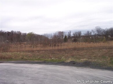 10 Lumen Ln, Highland, NY 12528 - photo 2