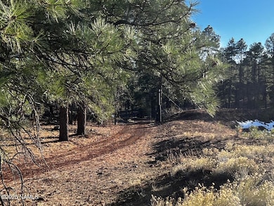 475 N Double A Ranch Rd, Williams, AZ 86046 - photo 5