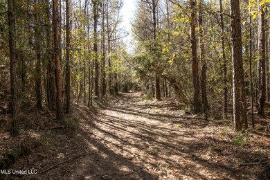 0 Union Rd, Hazlehurst, MS 39083 - photo 7