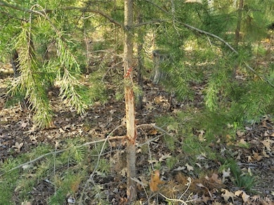 13.2 Ac Patrick Henry Hwy, Amelia Ct Hse, VA 23002 - photo 3