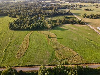 240 Oak Grove Rd unit LotWP001, Concord, AR 72523 - photo 6