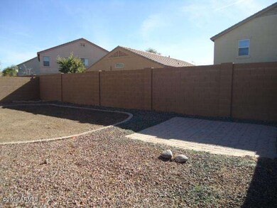 Backyard 3
