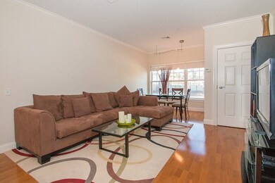 35 Commonwealth Ave unit 204, Chestnut Hill, MA 02467 - photo 5