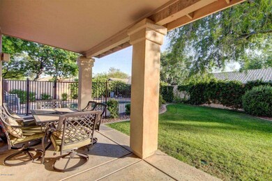 backyard 1