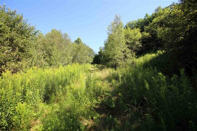21 Old Mill Hill unit Lot 3, Northfield, VT 05663 - photo 5