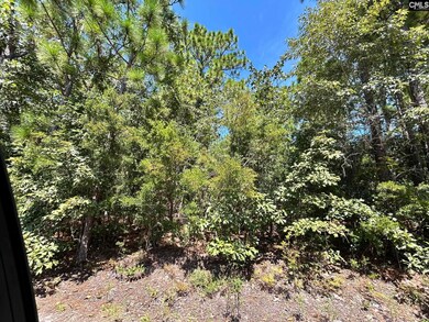 0 Hyland Cir, Pine Ridge, SC 29172 - photo 7