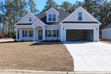 504 Whiddy Loop unit Lot 17, Hemlock Alt, Conway, SC 29526 - photo 2