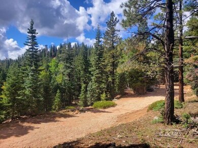 5340 W Bitterberry Cir, Duck Creek Village, UT 84762 - photo 5