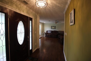 Entry to living room