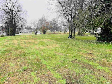 129 E Wilson Ave, Shawneetown, IL 62984 - photo 2