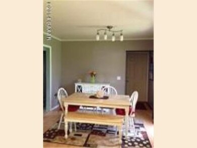 313 4th Ave NE, Glenwood, MN 56334 - photo 5