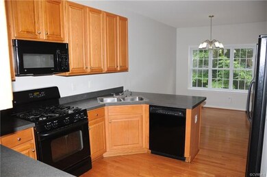 9500 Pine Trails Ct, Henrico, VA 23294 - photo 3