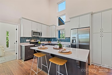 1807 Fisher Creek Rd, Sylva, NC 28779 - photo 6