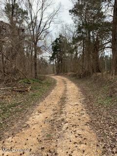 Gravel Road