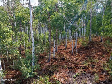 2919 Green Briar Way unit 543, Timber Lakes, UT 84032 - photo 2