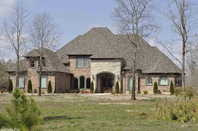 510 Saint Joseph's Dr, Alexander, AR 72002 - photo 4