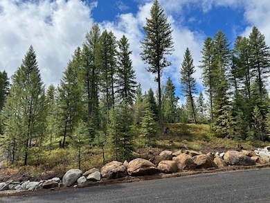 27 Sawtooth Loop unit Lot 23, Cascade, ID 83611 - photo 2