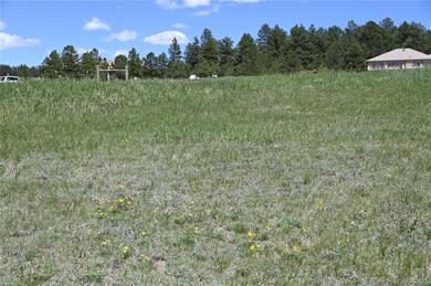 30523 Mountain View Trail unit 6, Kiowa, CO 80117 - photo 7