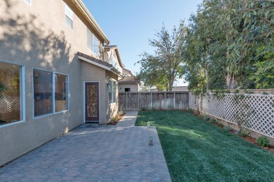 Backyard F