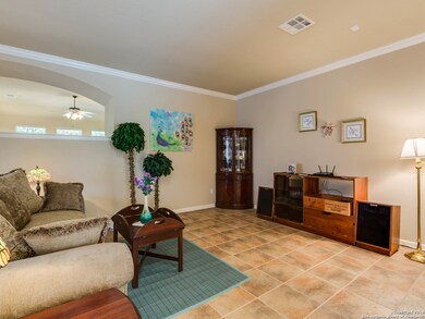 13066 Wild Heart, Helotes, TX 78023 - photo 4