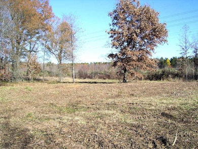 682 U S Highway 71, Ashdown, AR 71822 - photo 2