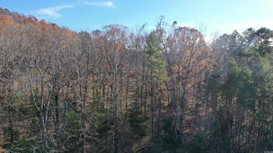 Lot 4 Old Military Rd, Conway, AR 72034 - photo 3