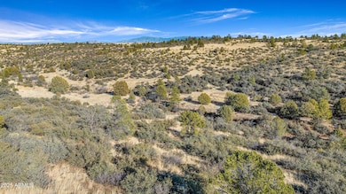 1183 Fawn Ln unit 4, Prescott, AZ 86305 - photo 4