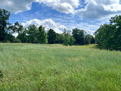 TBD Curry Rd, Mount Solon, VA 22843 - photo 6