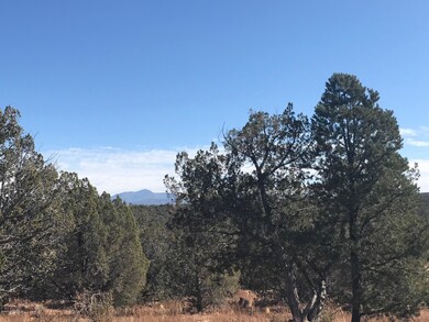 0 Cooks Trail unit 1026045, Ash Fork, AZ 86320 - photo 6