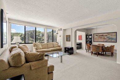 250 Hammond Pond Pkwy unit 411N, Chestnut Hill, MA 02467 - photo 2