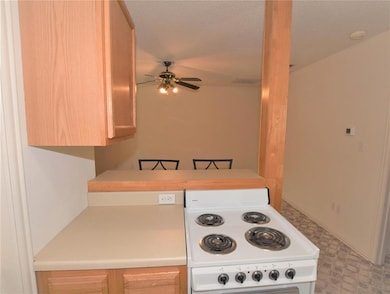 1414 E Lake Dr, Weatherford, TX 76087 - photo 5