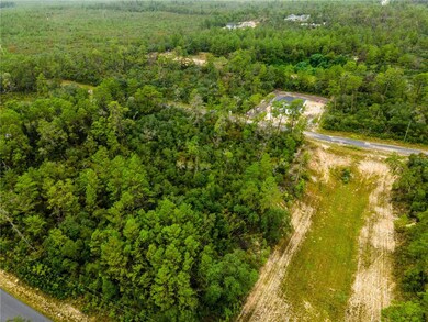 8109 N Wayside Ave, Dunnellon, FL 34433 - photo 7