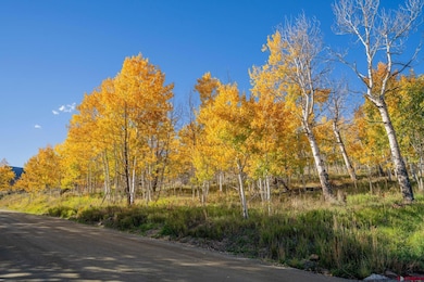 684 Zeligman St, Crested Butte, CO 81224 - photo 2